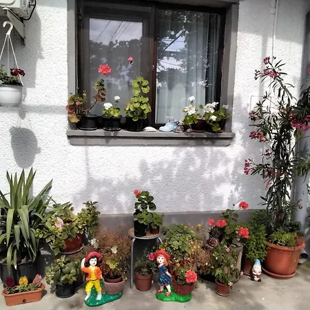 Casa Fely