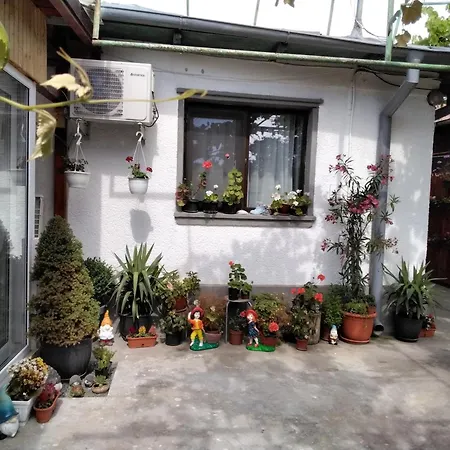 Casa Fely Homestay
