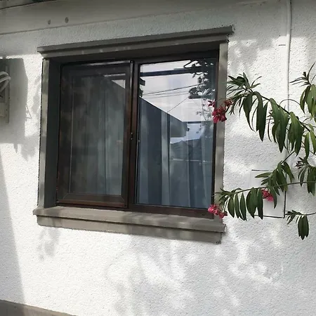 Homestay Casa Fely Eforie Nord