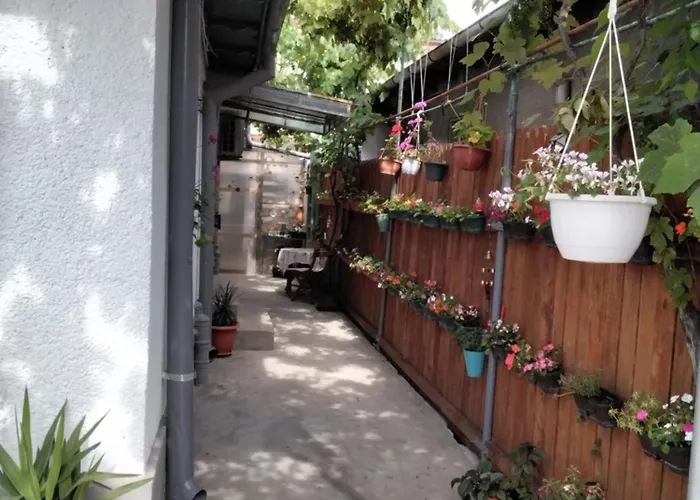 Casa Fely Gazde/Camere de închiriat *