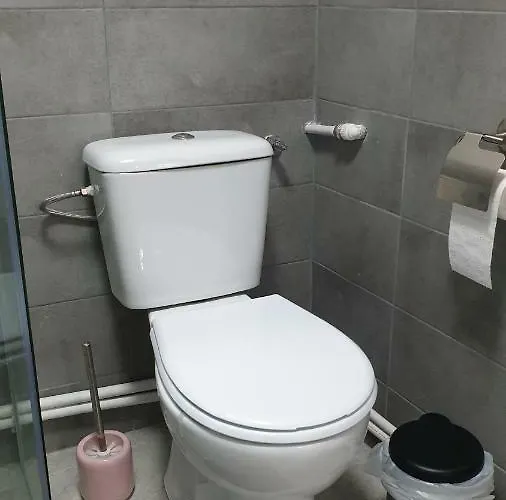 Gazde/Camere de închiriat Casa Fely